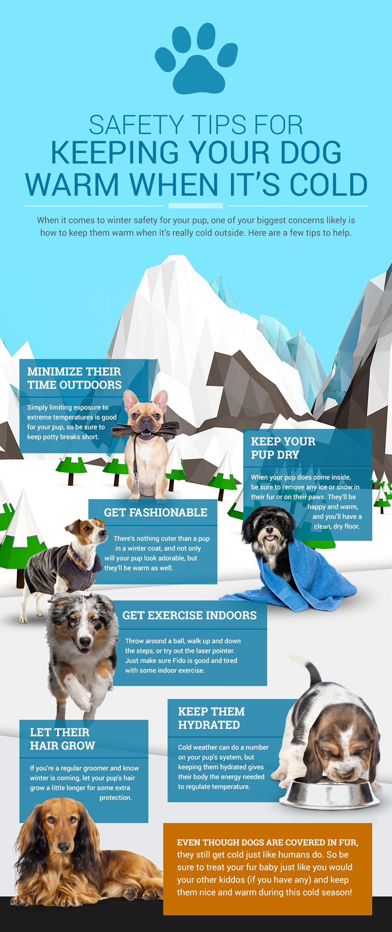 How To Keep A Dog Warm Safety Tips for Keeping Your Dog Warm in Winter - Paws Animal Rescue,  Pierre SD