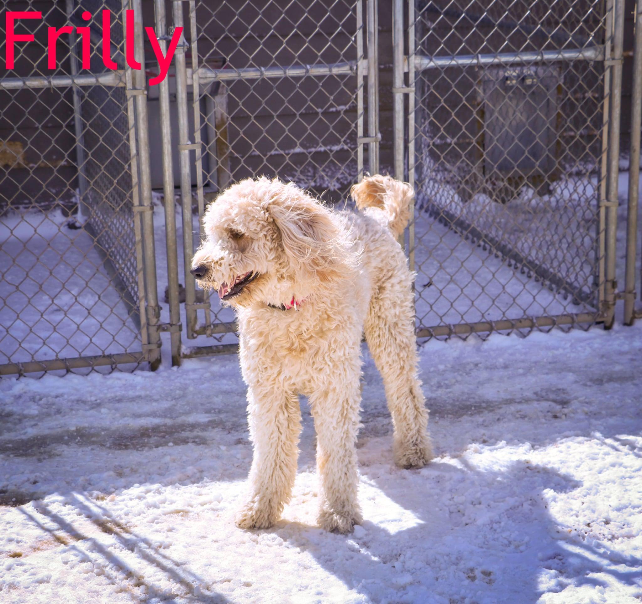 Frilly - Photo 1