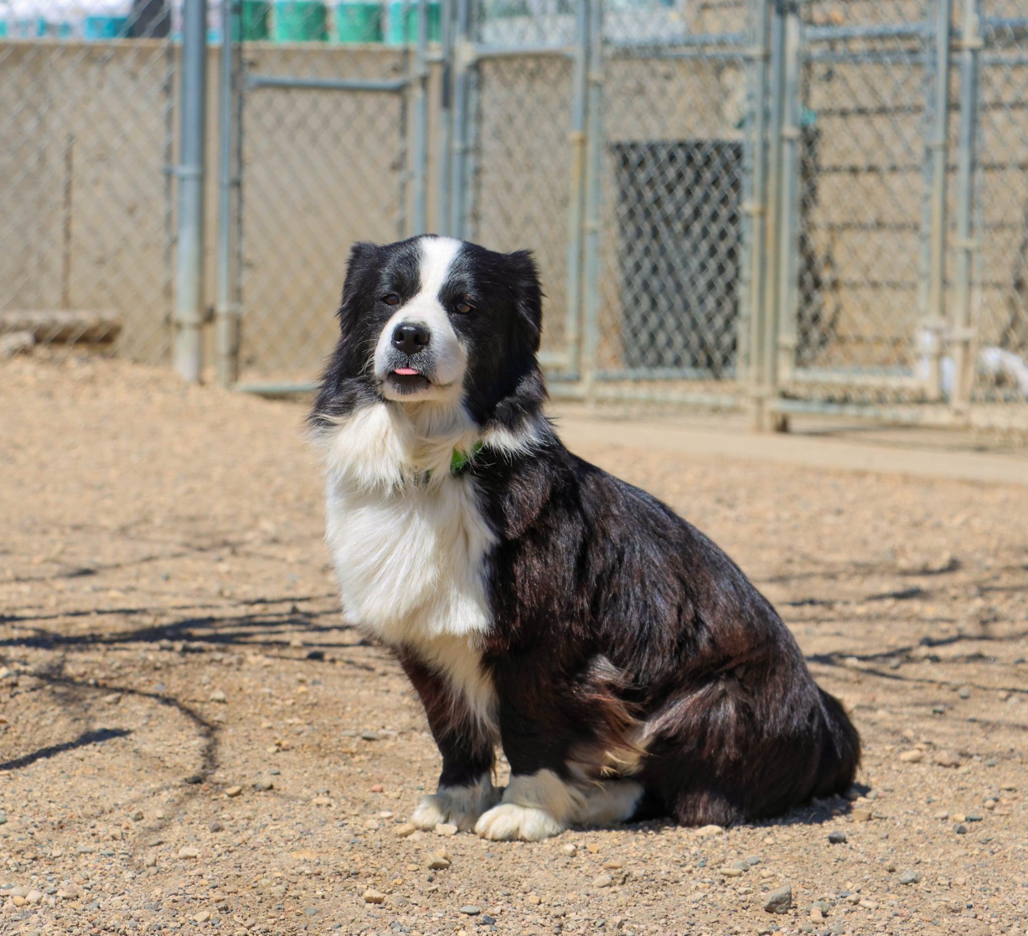 Duffy - Photo 1