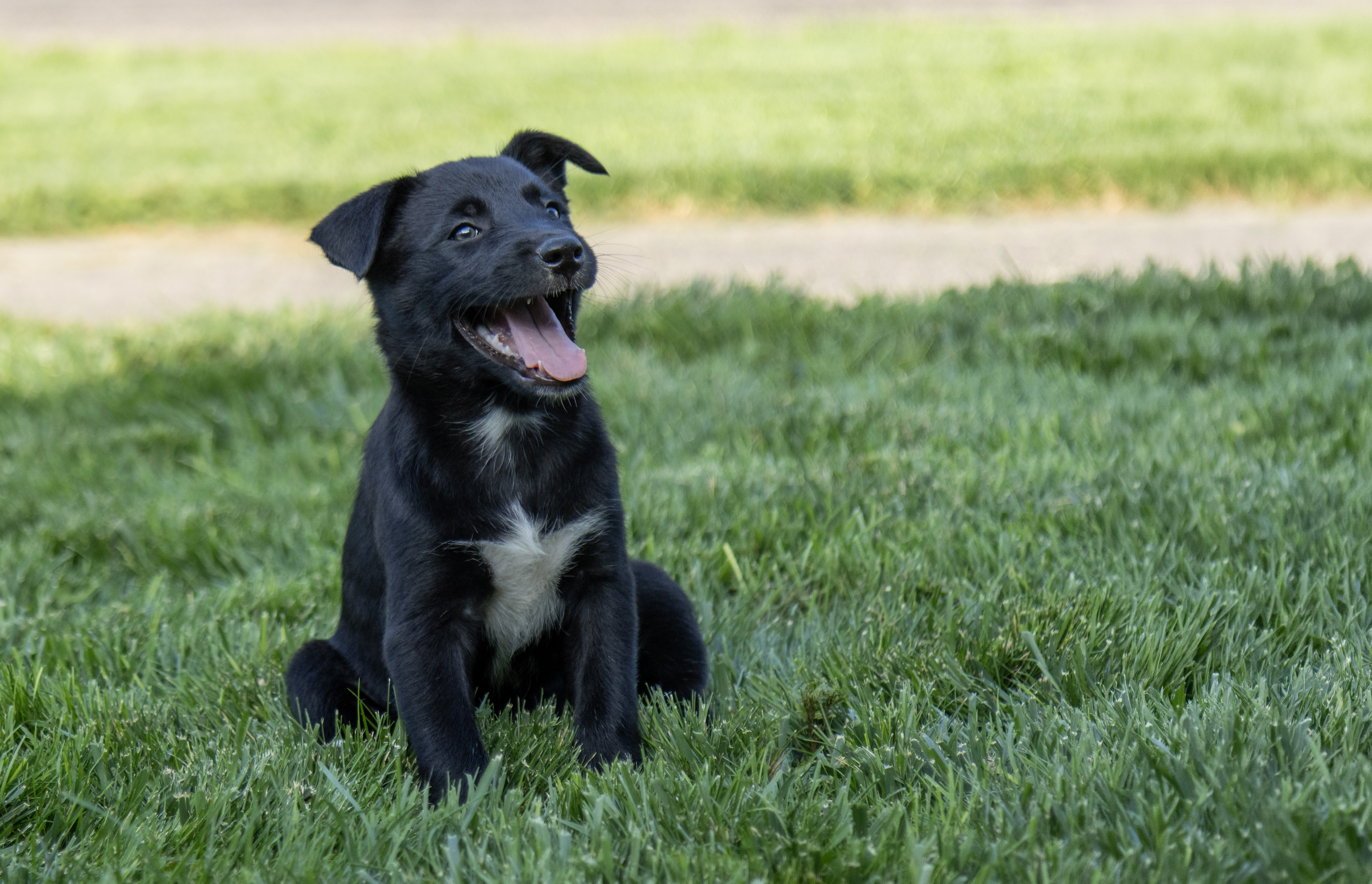 Jack - Photo 1