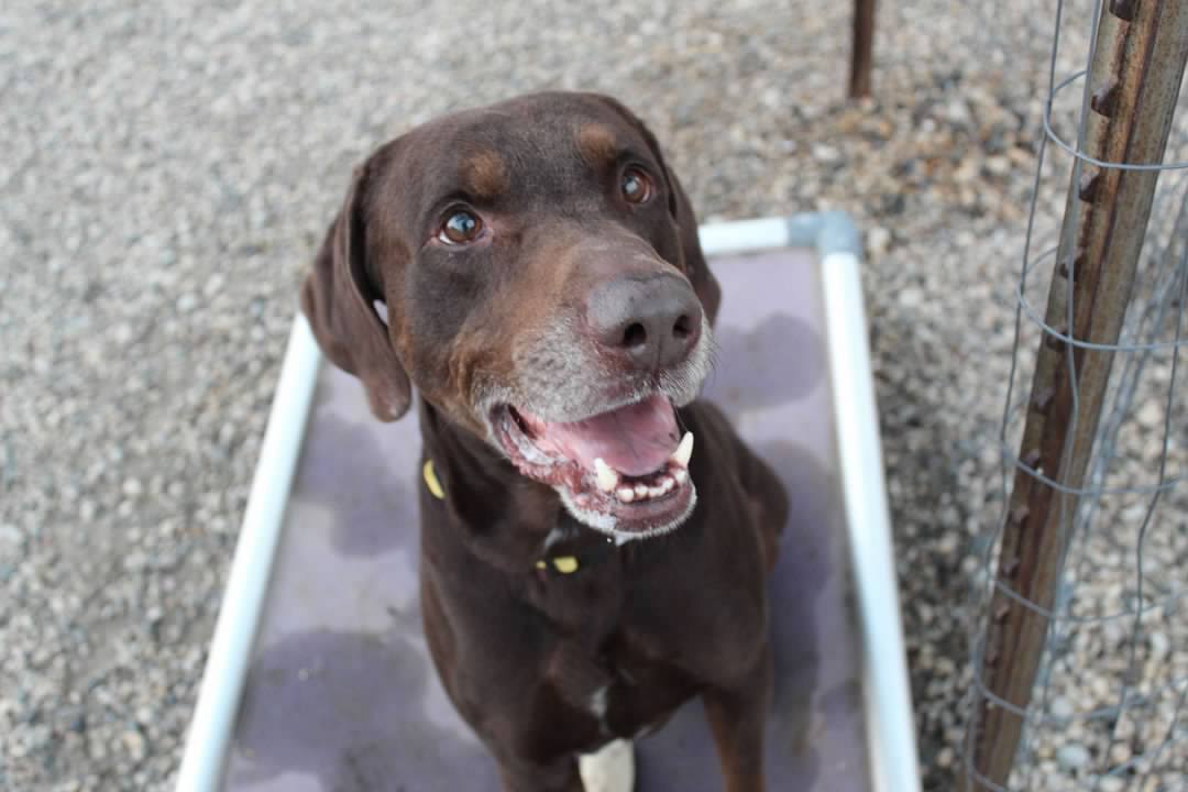 Grover - Photo 1