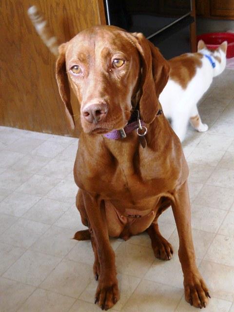 Sherona - Photo 1