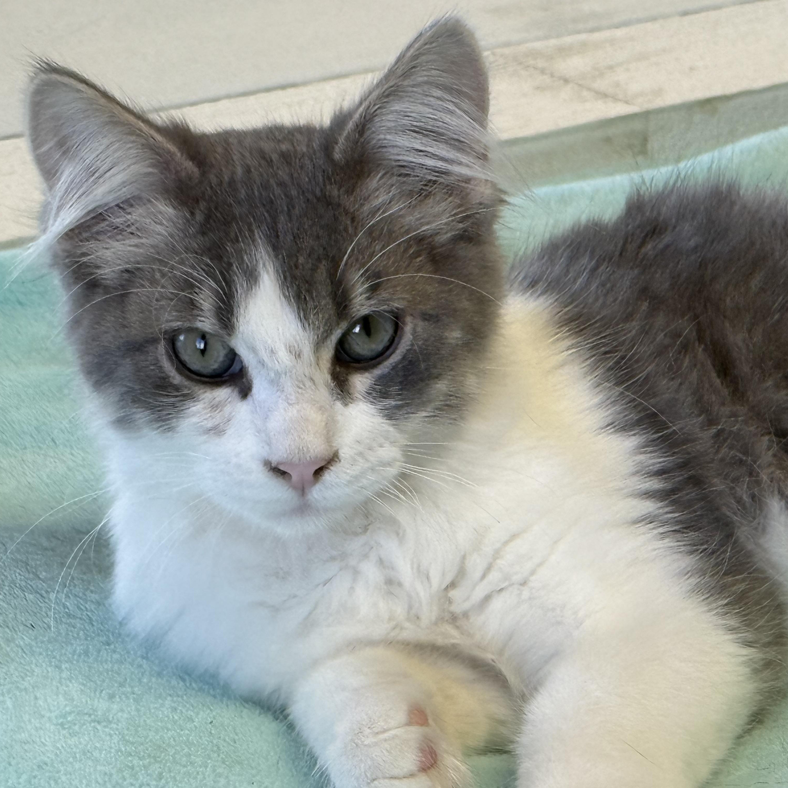 Ziggy - Photo 1
