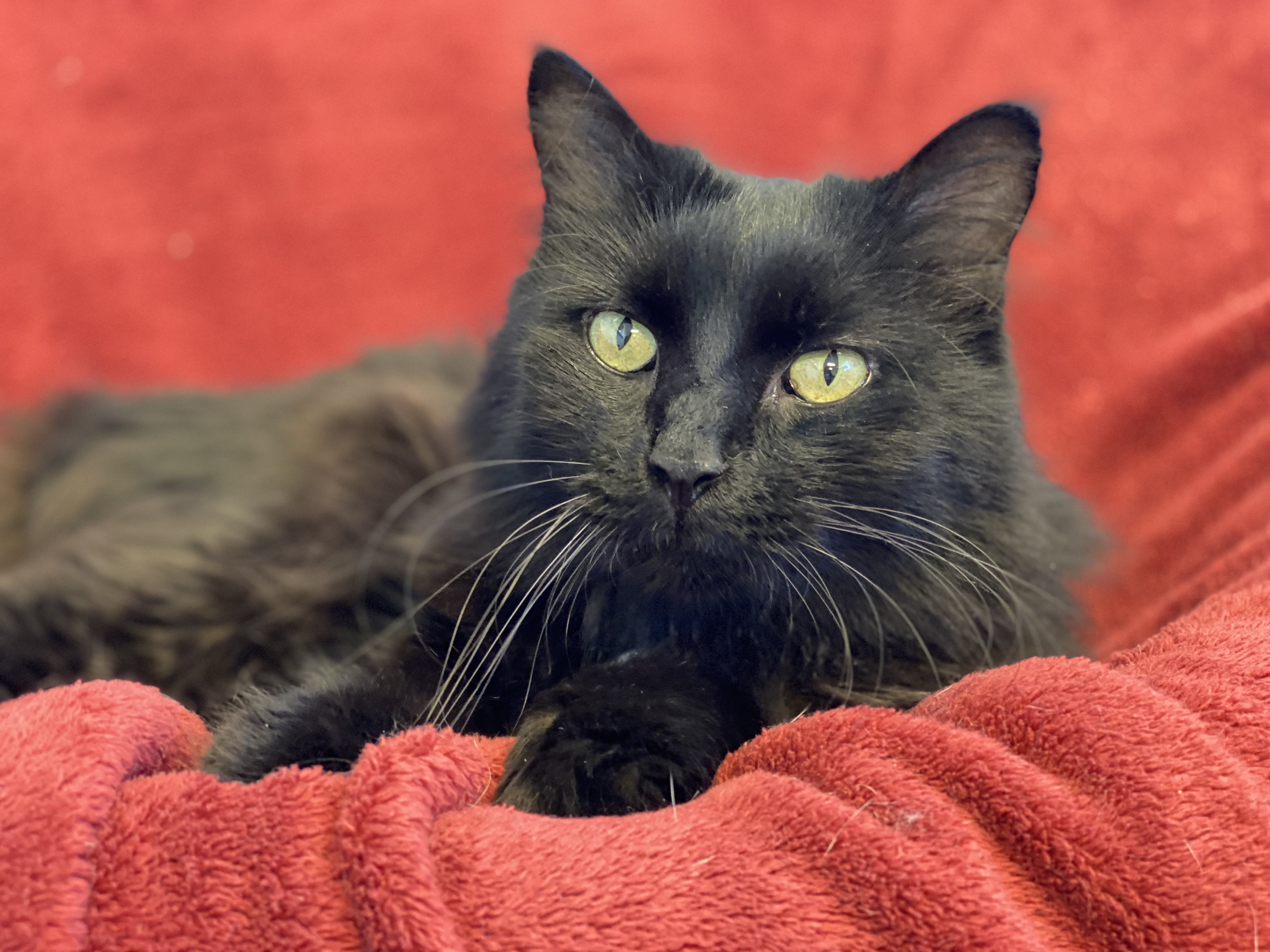 Winifred - Photo 1