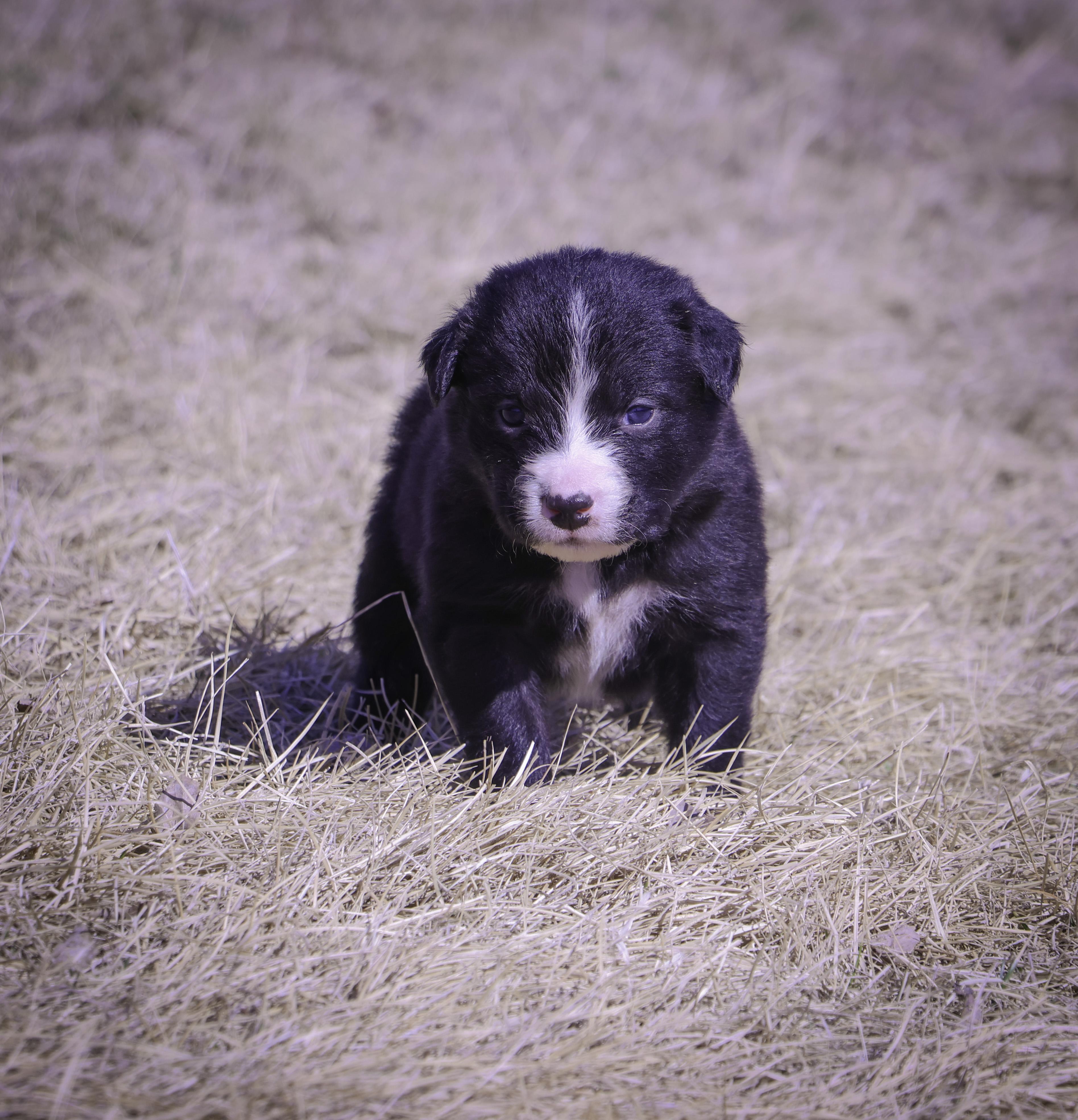 Luigi - Photo 1