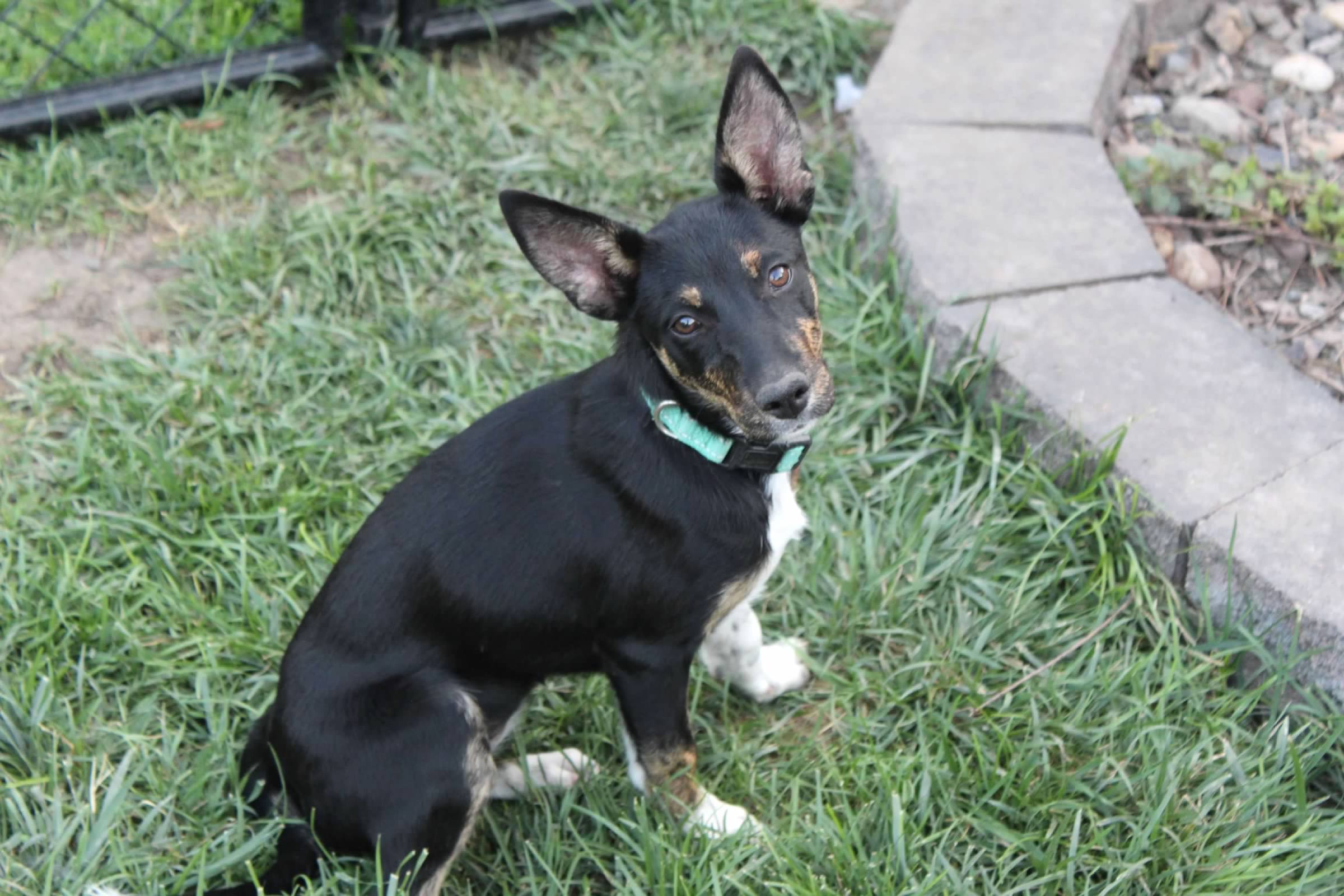 DeeDee - Photo 1