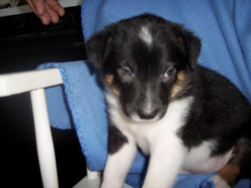Skye - Photo 1